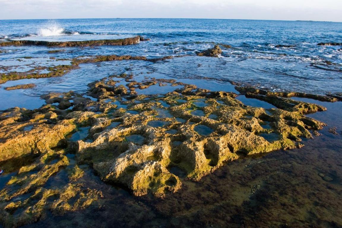 Achziv Sea & Sun Apartman Gesher HaZiv Kültér fotó